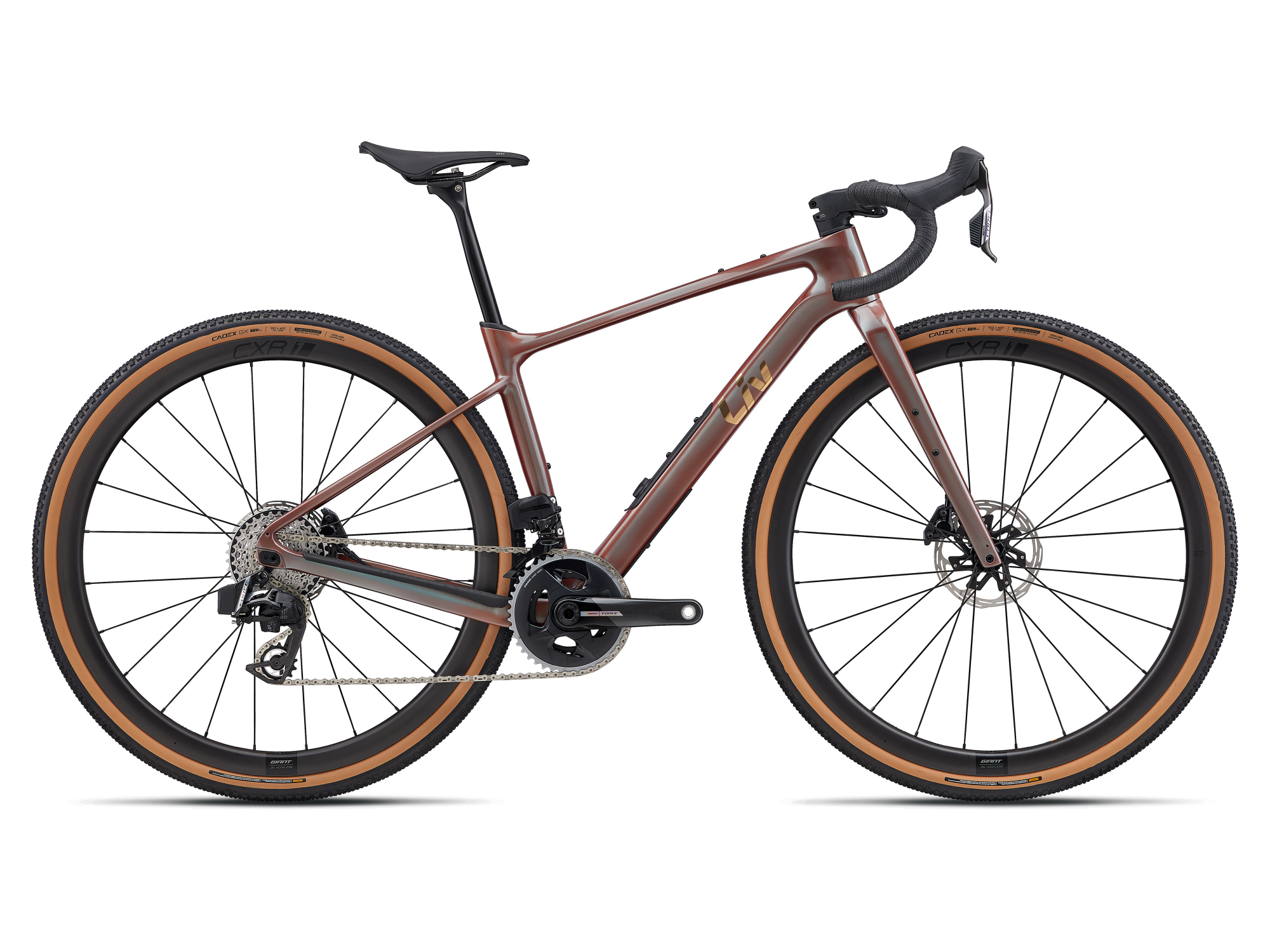 bcprisme/41371_devote_advanced_pro